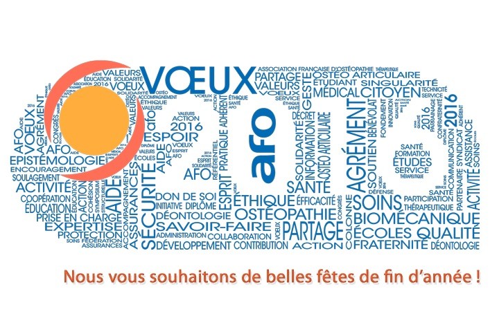 2016 Voeux site